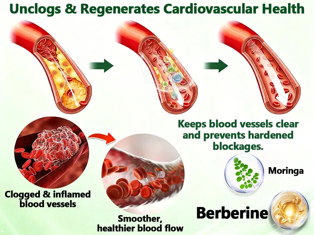 ๐๐๐๐จ๐ฆ๐ฆ๐๐ง๐๐๐ ๐๐ฒ ๐ญ๐ก๐ ๐๐จ๐๐ญ๐จ๐ซ ๐ข๐ง ๐๐๐๐ข๐๐ข๐ง๐ ๐ฉโโ๏ธ| ๐ด-๐ฉ-๐ ๐ญ๐ฌ-๐๐ท-๐ ๐๐๐ฃ๐ ๐ญ๐พ๐จ๐๐ค๐ฃ ๐๐ฎ๐ฝ๐๐๐ค๐๐๐ฌ ๐ท๐๐๐ฌ๐ - Image 12