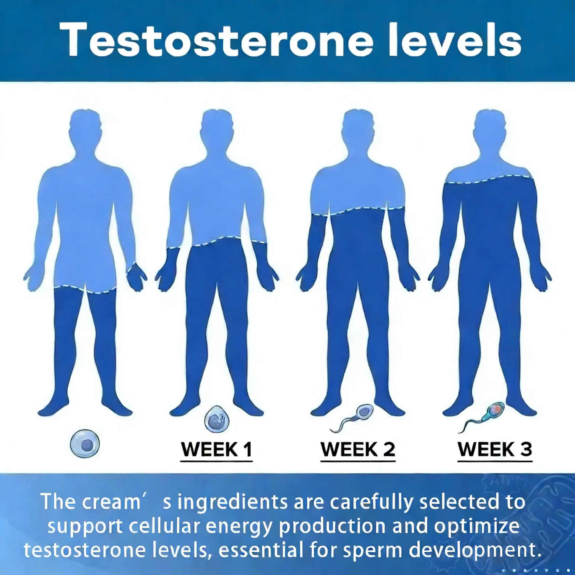 Exon-Max 60 Instant Erection Cream - Image 10