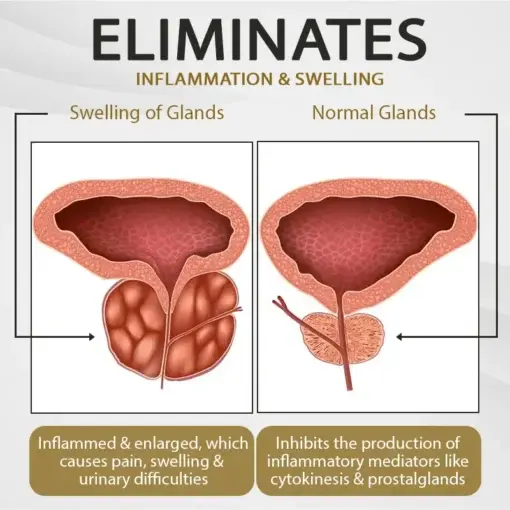 MaleVitality Boost Nasal Inhaler Stick - Image 13