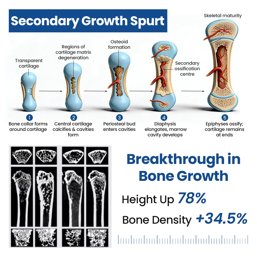 GH-Support Height Spray - Image 5