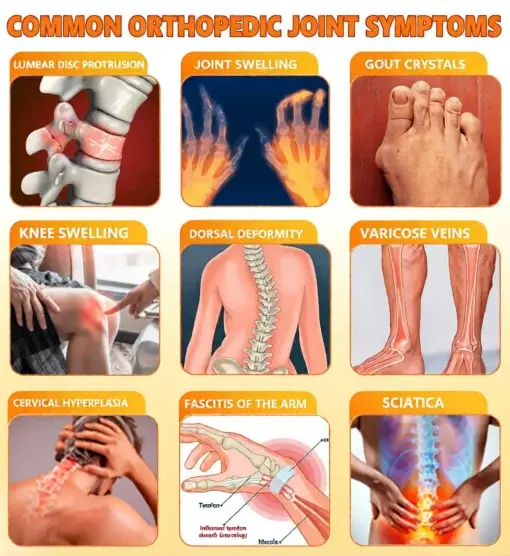 Bee Poison Pain-Relief Bone Healing Cream - Image 9