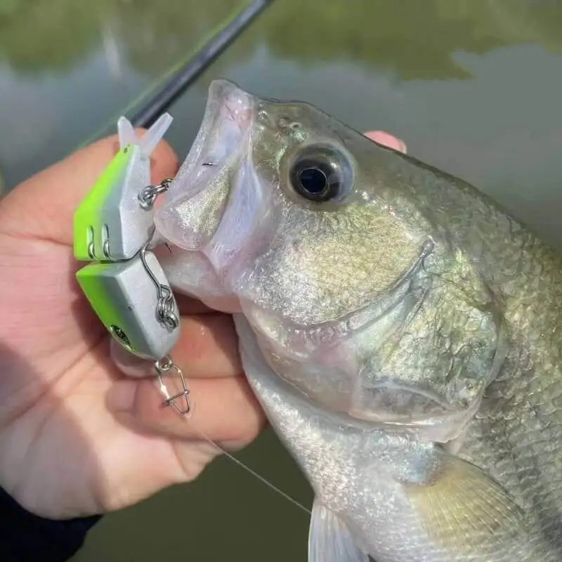 3D Simulation Bait - 4 Pcs Set | MLF Recommended - Image 3