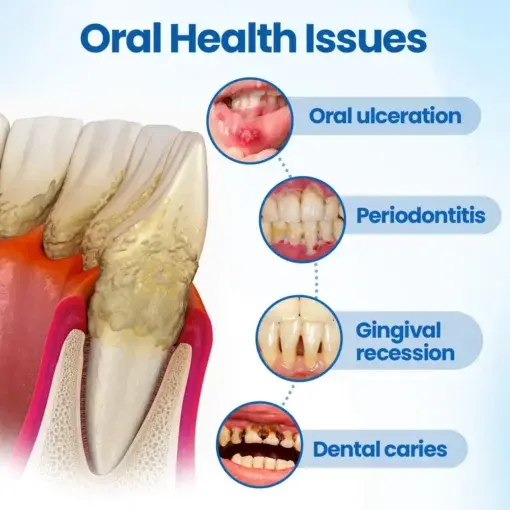 NanoHAP Tooth Defense Serum - Image 6