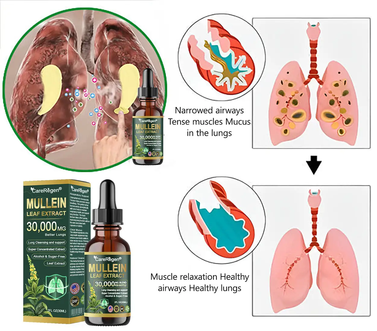 ๐ข๐ฟ๐ด๐ฎ๐ป๐ถ๐ฐ ๐๐๐ป๐ด ๐๐น๐ฒ๐ฎ๐ป๐๐ถ๐ป๐ด ๐ ๐๐น๐น๐ฒ๐ถ๐ป ๐๐ฒ๐ฎ๐ณ ๐๐
๐๐ฟ๐ฎ๐ฐ๐ ๐๐ฟ๐ผ๐ฝ๐ - Image 4