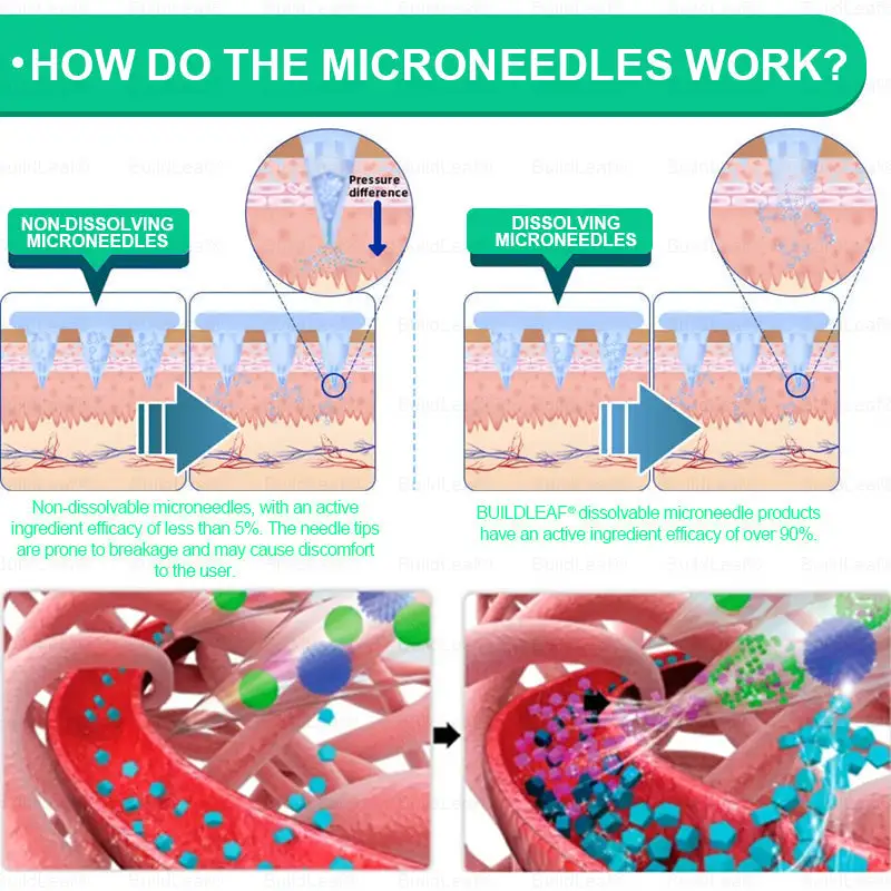 Nano-Microneedle Patch with Collagen - Image 10