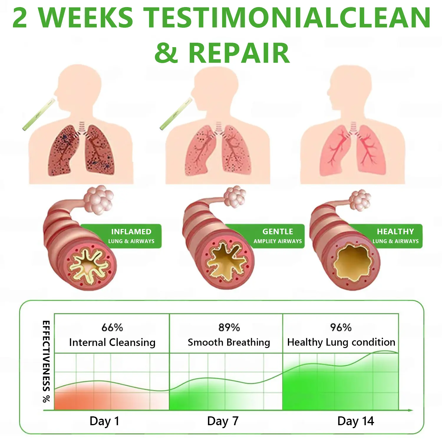 Botanical Mullein Lung Cleanse - Natural Breathing Support - Image 8