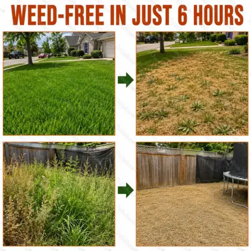 Dual-Action Crop Herbicide - Image 5